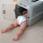 where's mommie and daddy